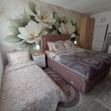 Studio Lotos Belgrad Exterior foto